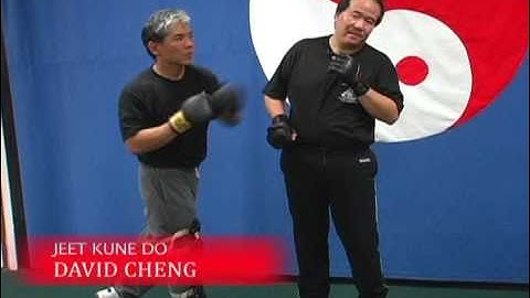 Jeet Kune Do Advanced Counterattacks
