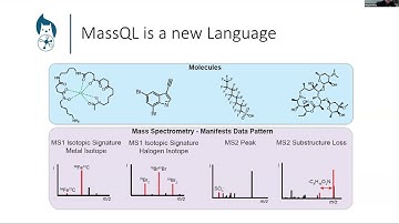 VMOL Seminar #17 - GNPS2: LLMs in GNPS2 (Mingxun Wang)