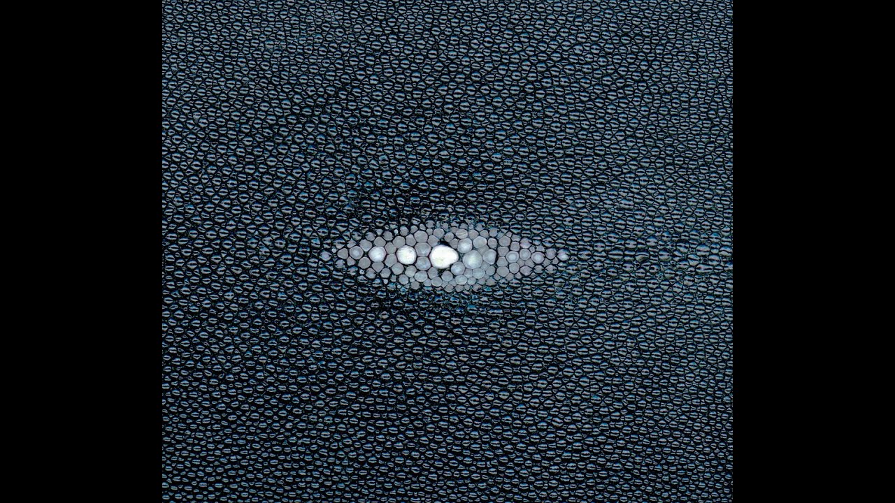 Are Stingray Boots Illegal?