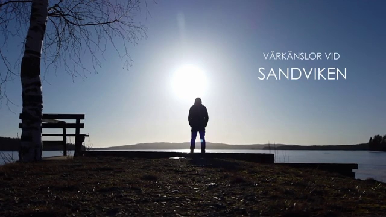 Vårkänslor vid Sandviken (Sunnansjö)
