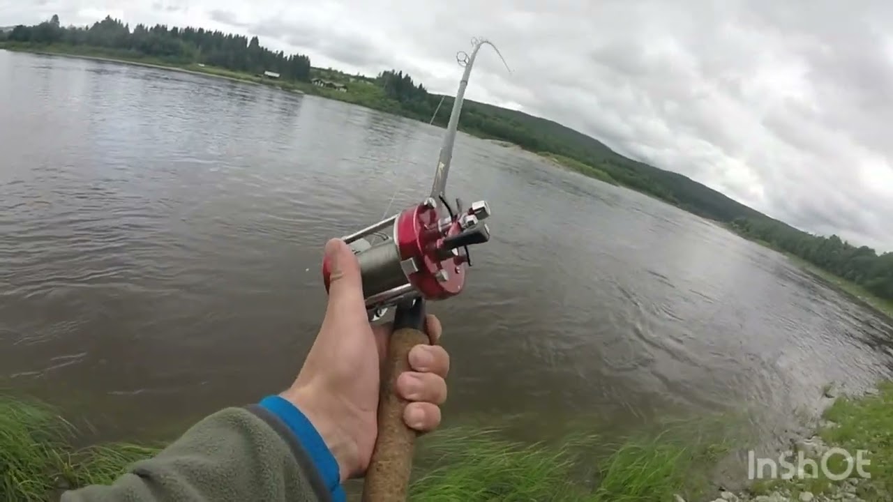 Singelharling Namsen 2022