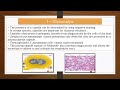 Introduction To Bacteriology Lecture 41