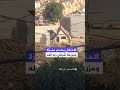 قوات الاحتلال الإسرائيلية تهدم منزلا قيد الإنشاء ومزرعة في بلدة كفر مالك شرق رام الله بالضفة الغربية
