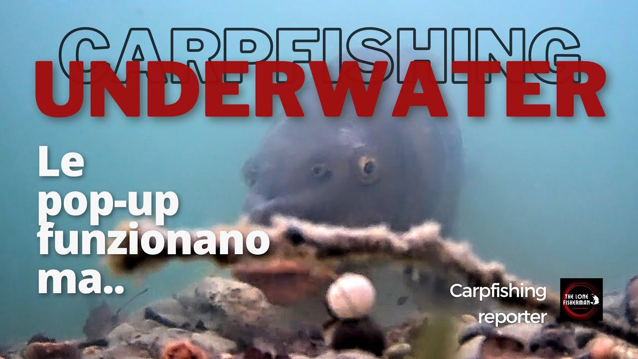 Carpfishing - Underwater - le pop-up funzionano ma...