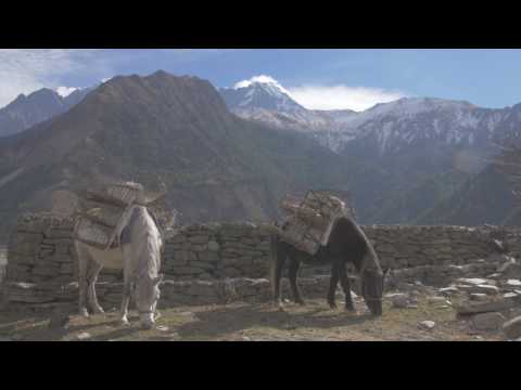 |  Marpha - Pokhara  |