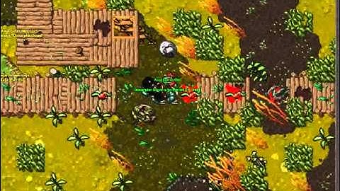 Tibia - Test Server - Winter Update 2012 - Venore