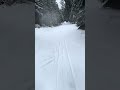 #blackforest #hundseck #schwarzwald #snowboarding #snow #mountains #treerun #freeride