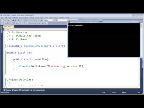 .NET Assembly Versioning