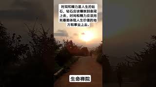 时间和精力是人生的钻石，钻石应该镶嵌到皇冠上去，时间和精力应该用到最能体现人生价值的地方和事业上去。 #生命禅院