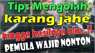 EASY Tips for Processing GINGER CORAL to get maximum benefits | BEGINNERS MUST KNOW!!!