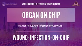 Episode 1: Wound-Infection-On-Chip | Back to the Future! Virtual Labs
