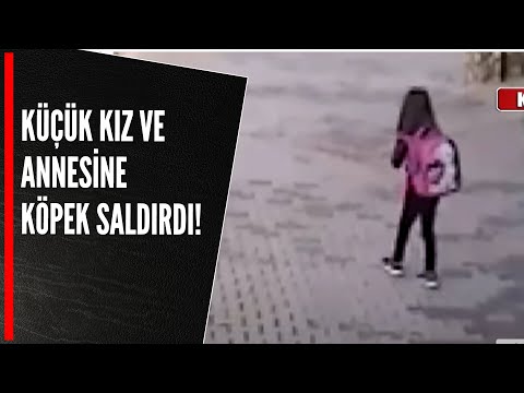 KÜÇÜK KIZ VE ANNESİNE KÖPEK SALDIRDI!