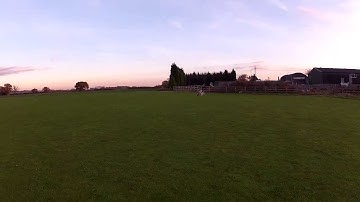 Align T-Rex 150 DFC Combo - 3D Flight - Stuart Mott