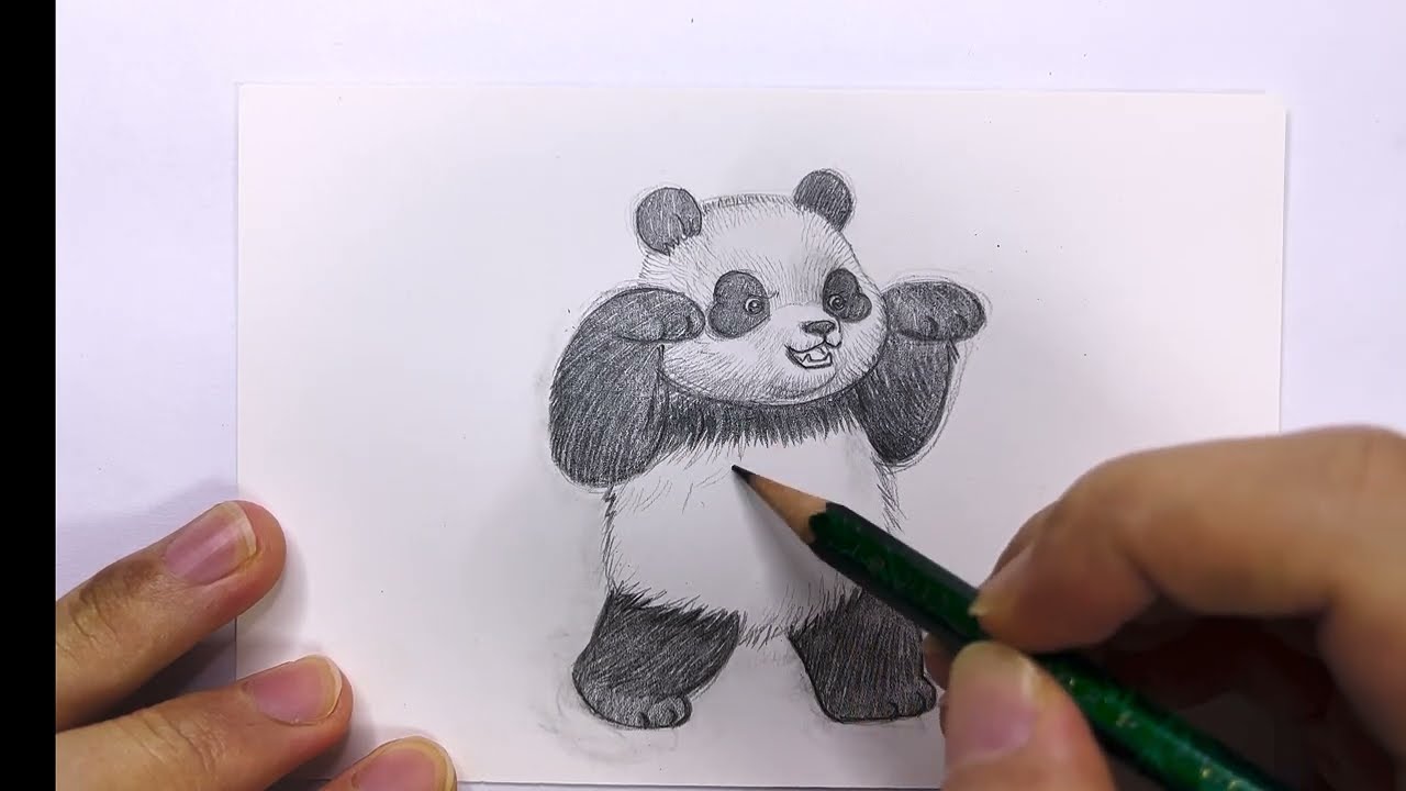 Draw panda Day 139｜pencil sketch