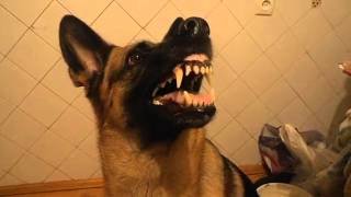 Видео перемена настроения)) (автор: Руслан Грач)