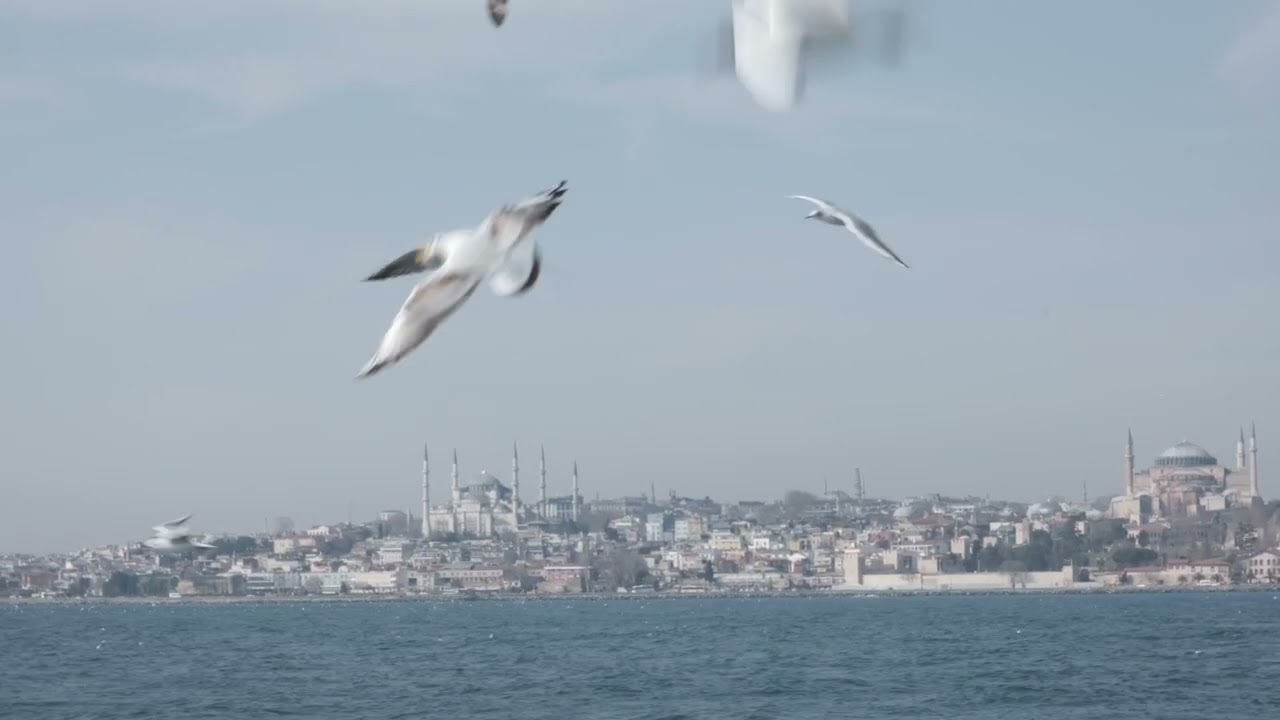 Documentary Director Reel 2025