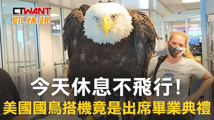 CTWANT 國際新聞 / 今天休息不飛行！ 美國國鳥搭機竟是出席畢業典禮！？ - 天天要聞