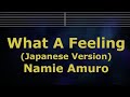 Karaoke♬ WHAT A FEELING - Namie Amuro 【No Guide Melody】 Instrumental