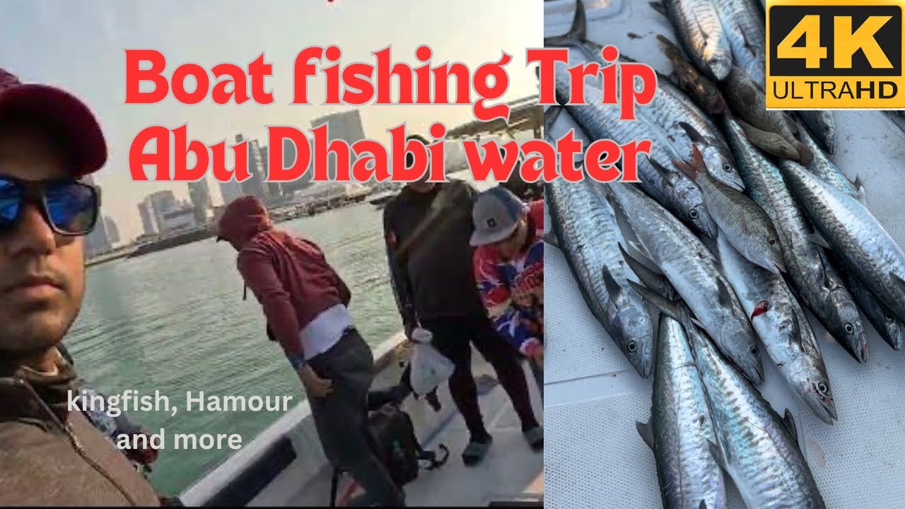 Deep Sea Fishing Trip | Kingfish | Hamour | Fishing in Abu Dhabi water 2023#fishing #kingfish #4k
