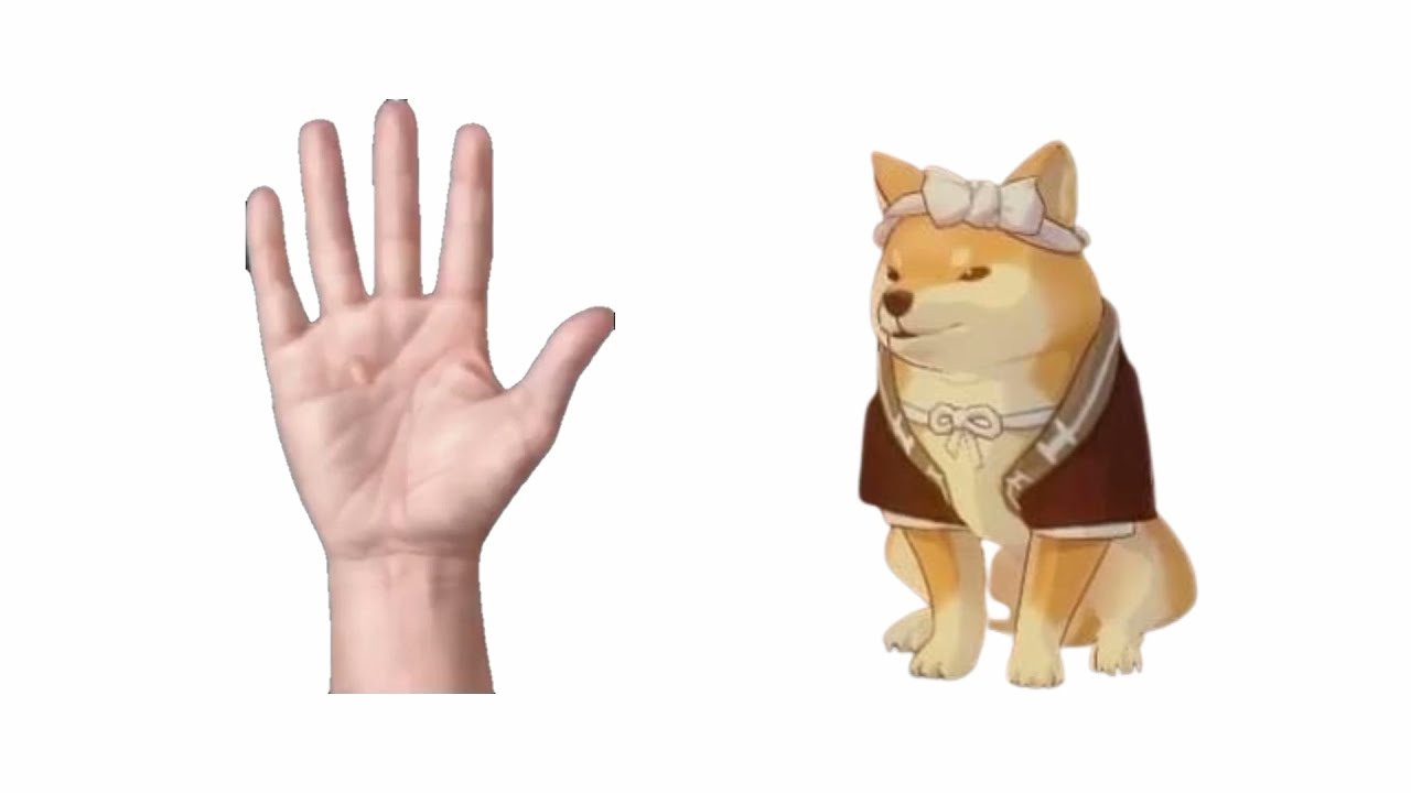 Pet The Taroumaru - Genshin Impact