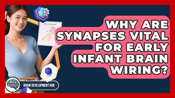 Why Are Synapses Vital For Early Infant Brain Wiring? - Brain Development Hub