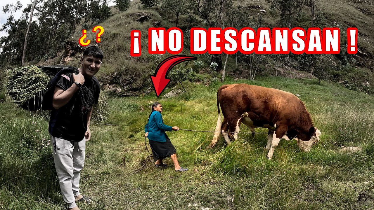 Esta es MI FAMILIA y así CELEBRAMOS EL DIA DE LA MADRE en la Sierra de Cajamarca - Perú