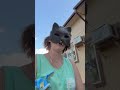 Quads#theriangear #therianboy #furry #quads #fypシ #pokemon #vaporeon #ouch #outdoors