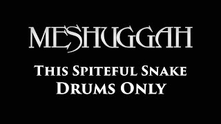 Meshuggah This Spiteful Snake DRUMS ONLY