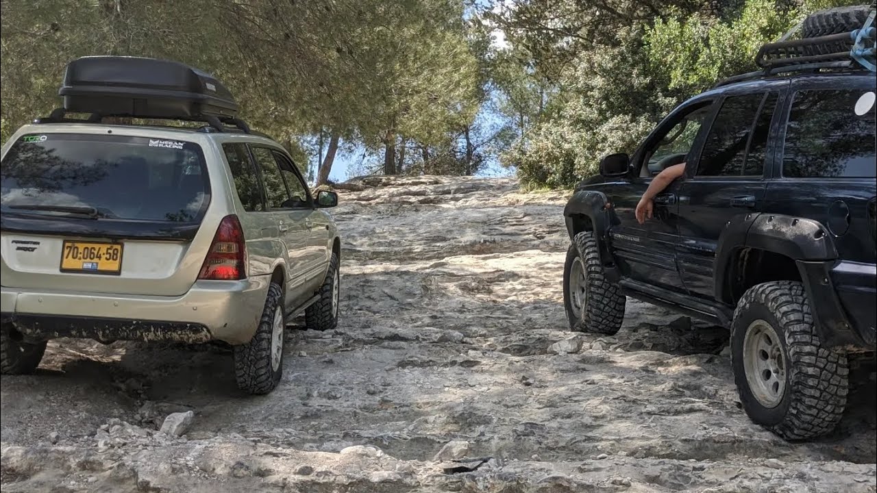 Hilux vs Rubicon vs Disco vs Grand vs Forester