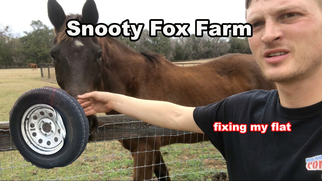 Fixing my Trailer Tire on a Horse Farm!!! : Part 9