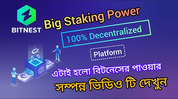 Bitnest Big Staking Project | এটাই হলো বিটনেসের পাওয়ার।