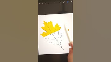 Autumn Leaf drawing process | Procreate digital art, Goodnotes stickers, digital planner sticker