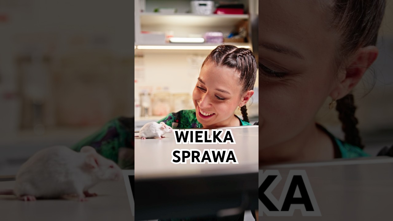 Mała mysz, wielka sprawa! Dzielna pacjentka Walerka🐭❤️‍🩹👩‍⚕️