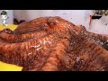 Korean street food giant octopus devil fish korea seafood market    090321