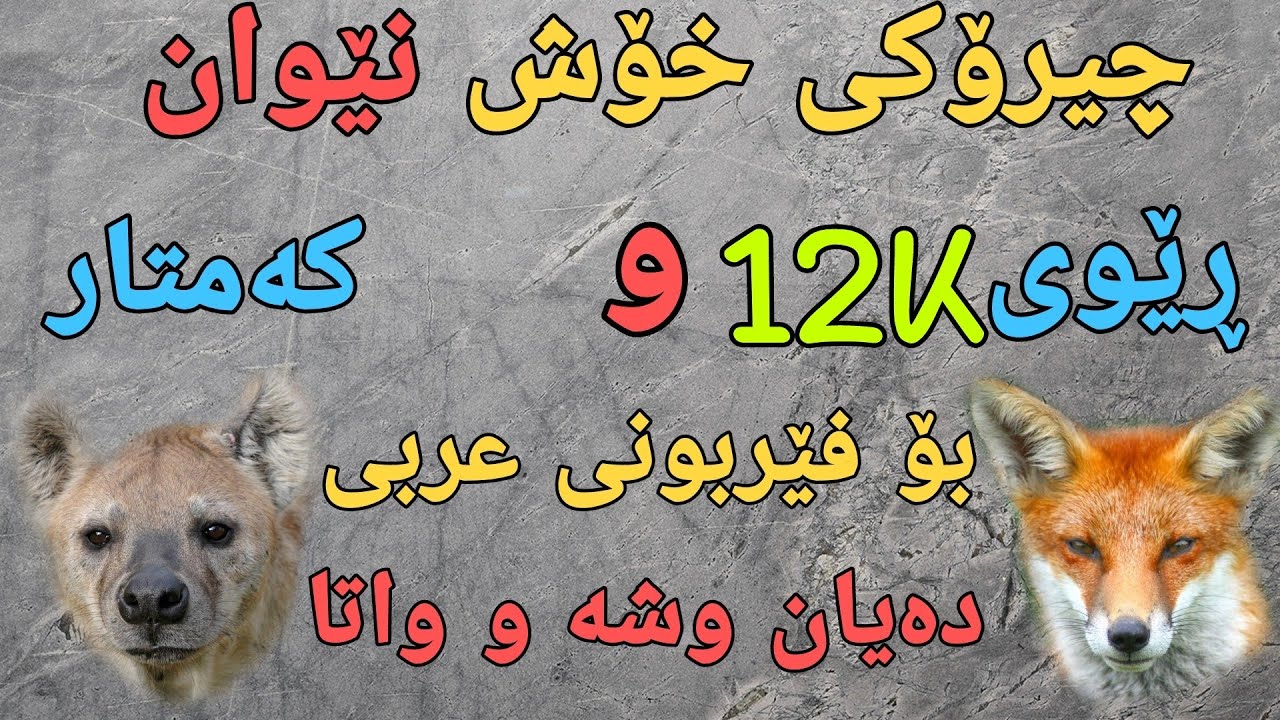 فێربونی زمانی عربی چیرۆکێکی خۆشی عربی بەکوری ببیستە و وشە و واتا فێربە