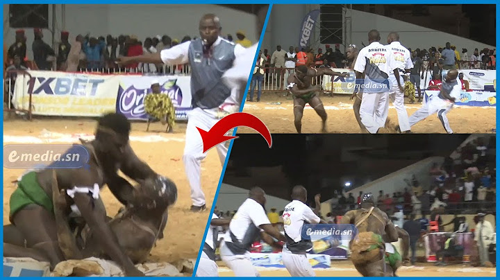 Combat bou nekh entre Thiatou Yoff et Thiatou Yarakh