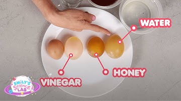 Growing and Shrinking Egg - Egg Osmosis Experiment - Emily
