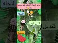 ماهو الحيوان الذي ليس في جسمه عظام اكسبلور ترند معلومات Funny كلمات Memes Biology دويتو 
