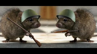 How To Rat With A Toz Ks-23M