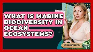 What Is Marine Biodiversity In Ocean Ecosystems - Explaining Ecology