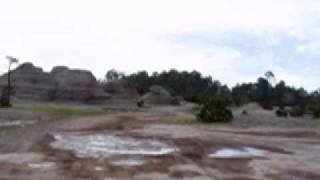 MOV03427