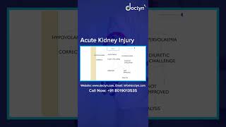Renal Biopsy & Prognosis in Acute Kidney Injury (AKI) Explained | Dr. Ayush Pandey