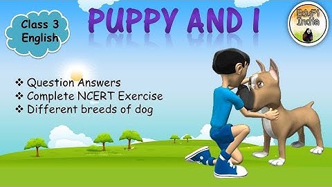 Puppy and I| Question Answers| Complete NCERT Exercise| About breeds of Dogs| Class 3 English