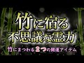 竹にまつわる霊的な意味|身近に置くことでたくさんのメリットがある!