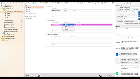 Core Data part 4 / 5 - Change Core Data model, SortDescriptor, NSPredicate & filter Array