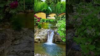 Green village and waterfalls full screen whatsapp status #shorts #youtube #softpeace #youtubeshorts screenshot 2