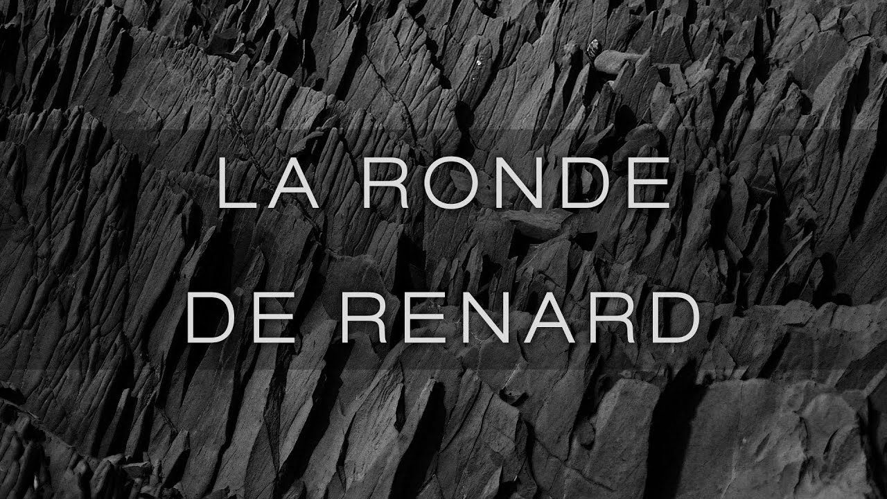 Pole Folder - La Ronde De Renard | Progressive House