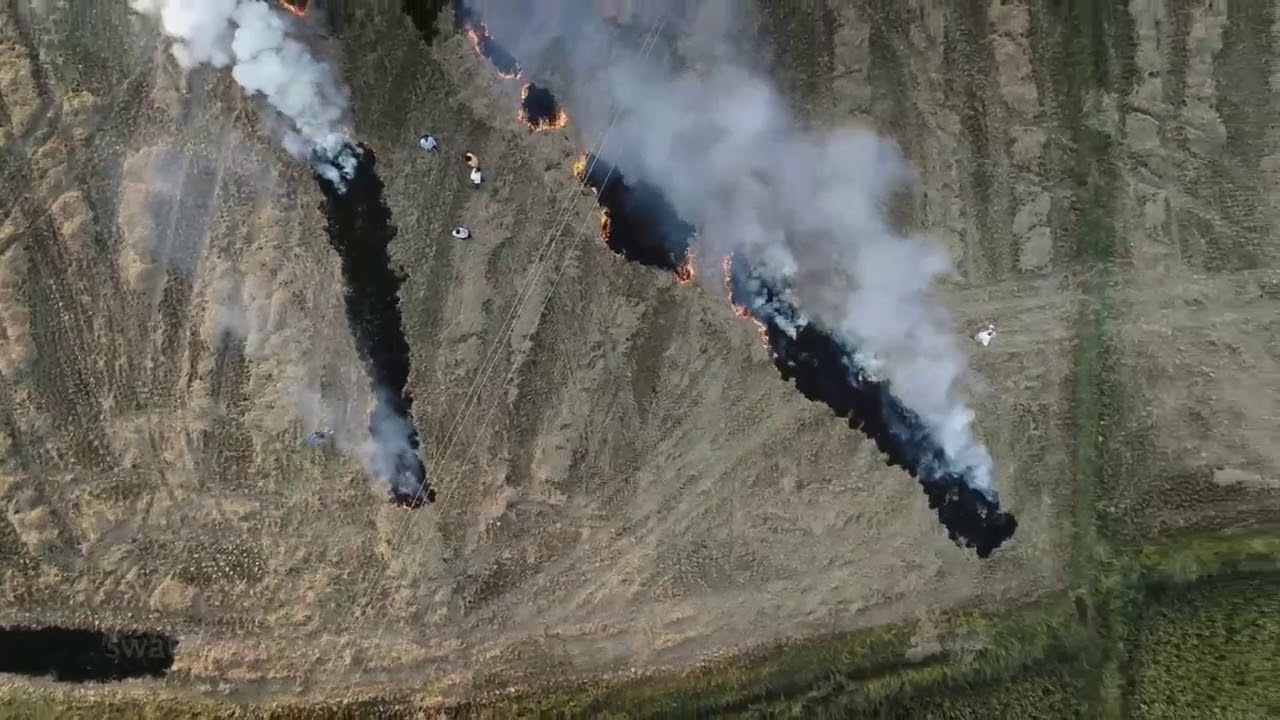 Farming is injurious to lives...!?/ Swathi and Vijay/ Land Art