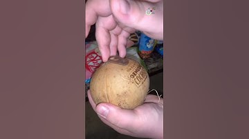 quả dừa 30 ngàn