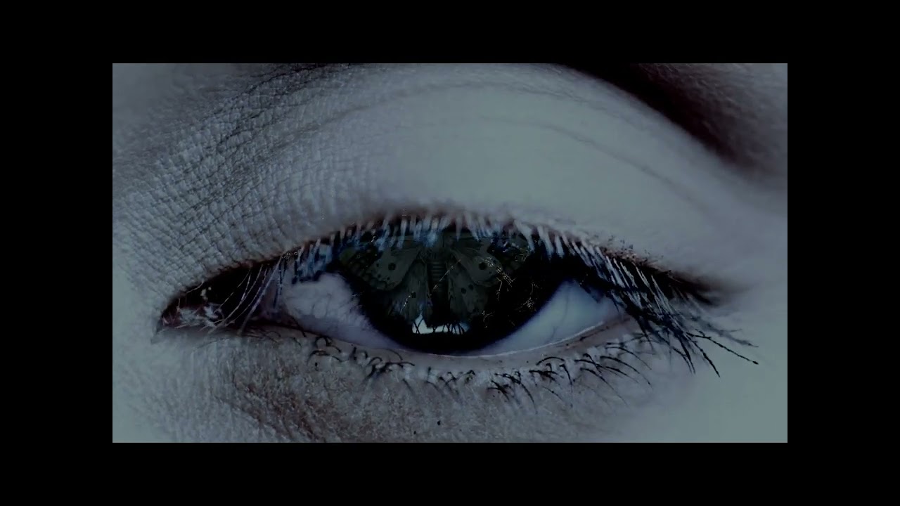 Watch Daal - Twilight - Lyric Video on YouTube Watch Daal - Twilight - Lyric Video on YouTube